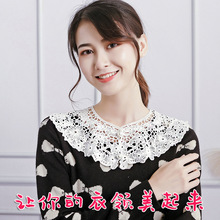 日韩冬季棉质圆领娃娃领时尚百搭通用假领子衬衫衣领女