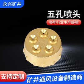 五孔喷头厂家销售单孔三孔五孔铜制喷头