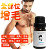 AIMABIRD跨境胡须油生长液胡子增长液眉毛发际线精华液毛发生长剂|ms AIMABIRD跨境胡须油生长液胡子增长液眉毛发际线精华液毛发生长剂|ms