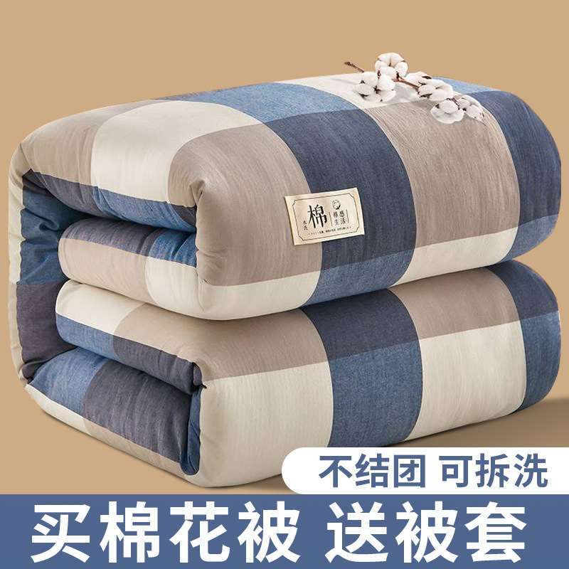 Quilt Wholesale Quilt Quilt for Spring and Autumn Thickened Duvet Insert Winter Quilt Xinjiang Cotton Quilts Removable and Washable All Season Quilt Thin Duvet Cotton