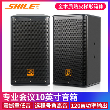 10英寸会议室专业音响 狮乐bx-110店铺ktv背景音乐定阻二分频音箱
