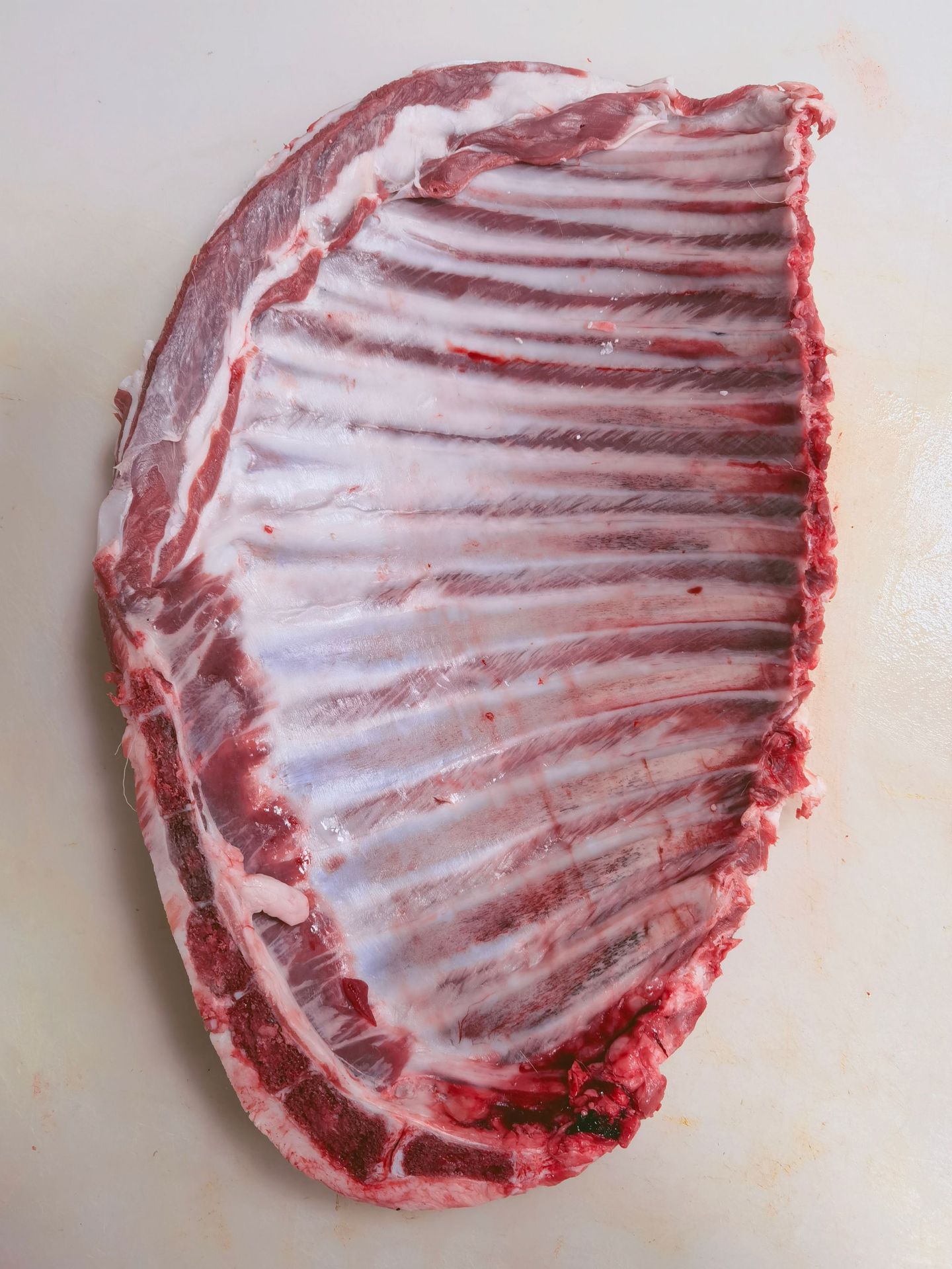 清真排酸肥羊羔羊光排批发 冷冻羔羊排 烧烤羊排 羊净排