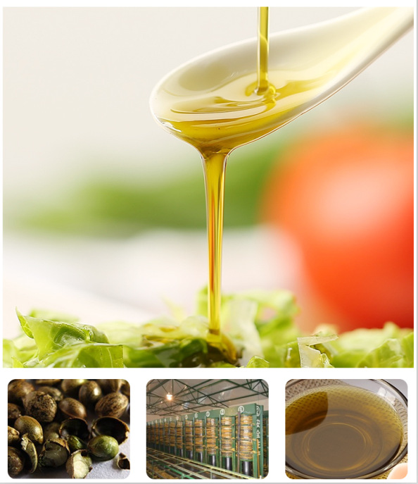 500ml纯火麻油物理压榨一级家用食用油巴马火麻仁油拌蜂蜜