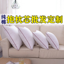 抱枕枕芯批发棉沙发抱枕芯靠枕芯十字绣靠垫芯子40455055606570方