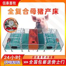 母猪产床产保一体猪用两用双体单体全套一整套老母猪加厚加重产床