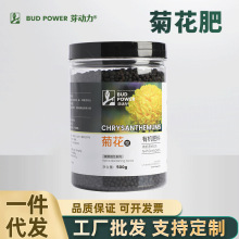 菊花专用肥花肥料雏菊营养液开花盆栽大白菊花卉四季有机肥养料