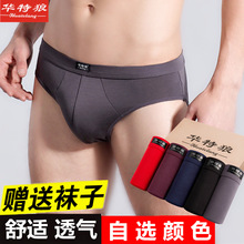 2024 Panties Mens Underwear Breathable Boxers Men Underpants