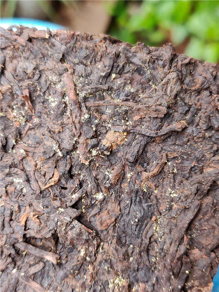 云南普洱茶老茶2016年金花茶砖500g古树老熟茶砖普洱茶叶熟茶砖