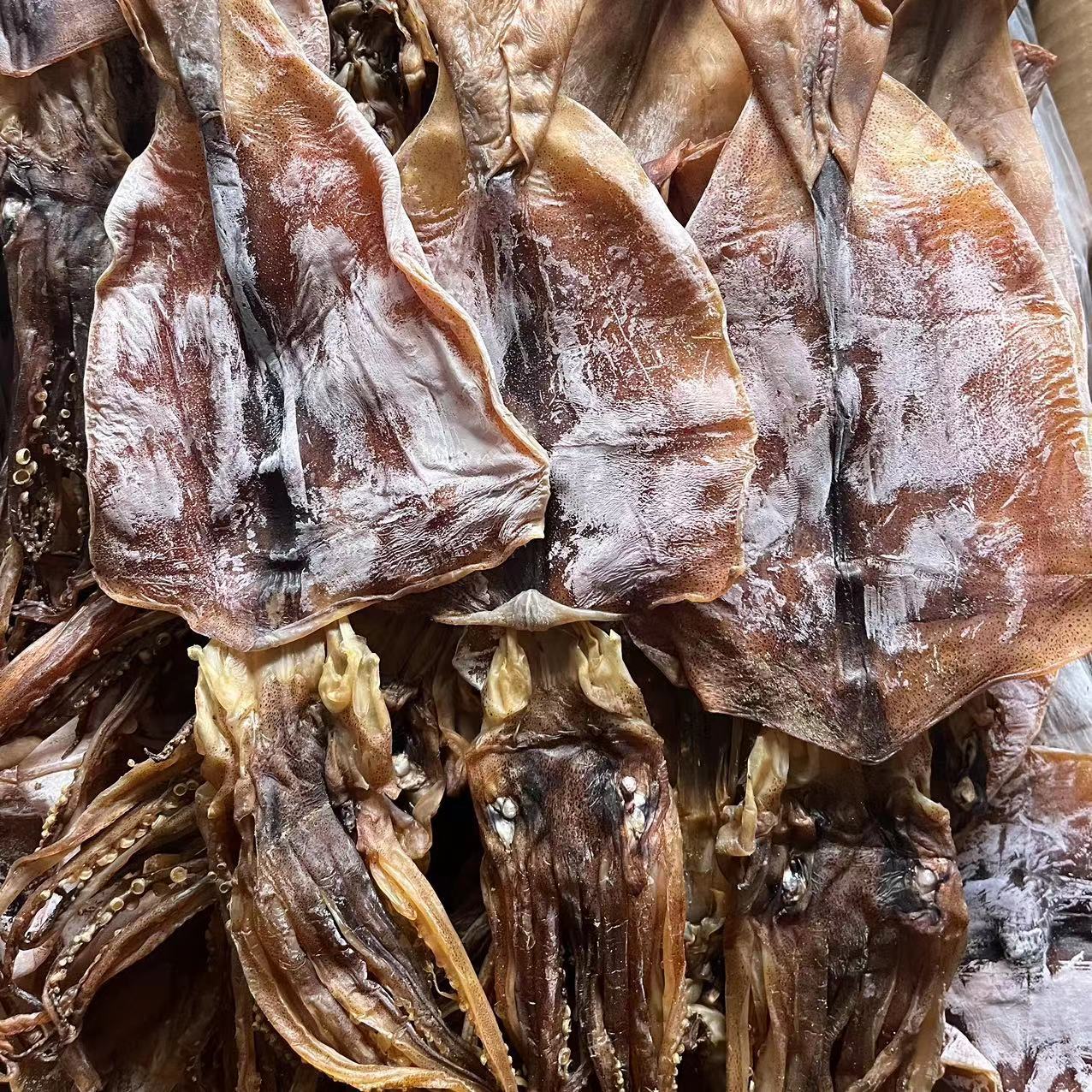 鱿鱼干批发阿根廷鱿鱼水发鱿鱼300 规格 餐饮商用火锅-阿里巴巴