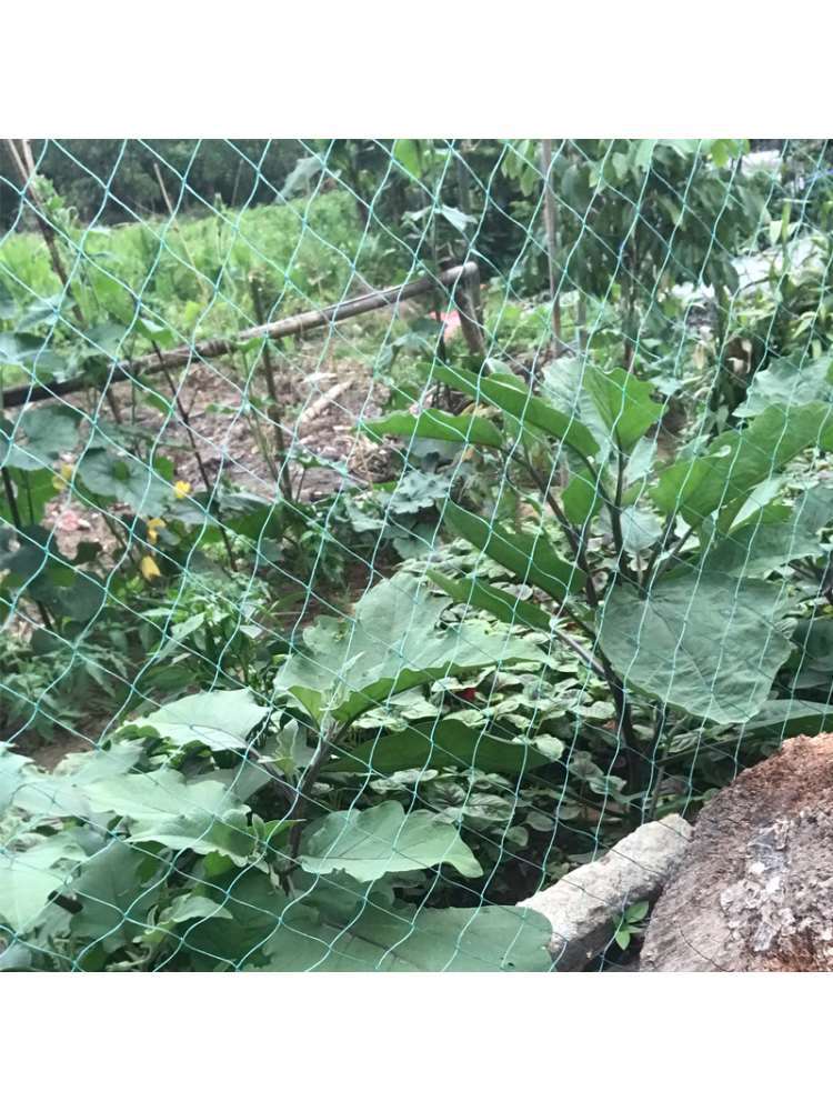 菜园围网 菜地围栏网 围菜园网 菜园子网 种菜防护网围菜园子的网