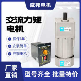 力矩电机220V交流齿轮减速可调速口罩机收卷堵转/收卷料力矩马达