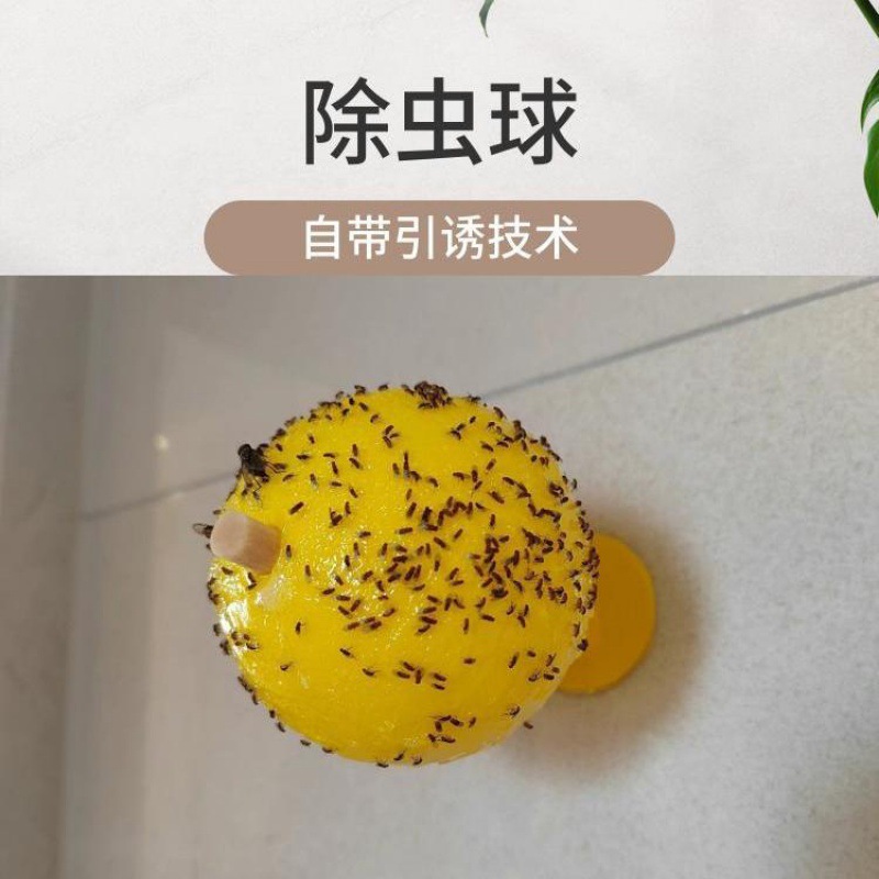 强效室内去除小飞虫克星水果店厨房灭果蝇苍蝇蚊子无毒除害诱杀