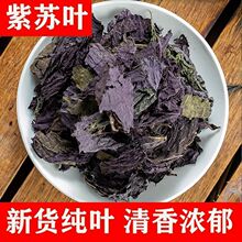 野生紫苏叶干中药材新鲜食用小紫苏叶子泡澡泡脚炒海鲜去腥泡茶