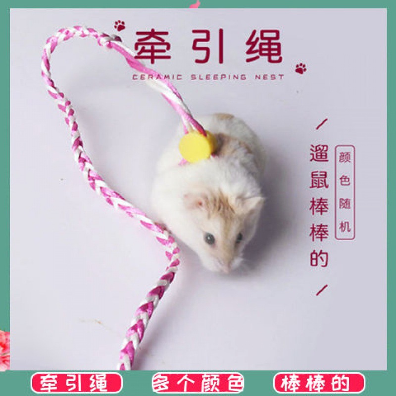 小仓鼠仓鼠牵引绳溜鼠绳松鼠溜兔绳兔子豚鼠刺猬荷兰猪松鼠牵引绳