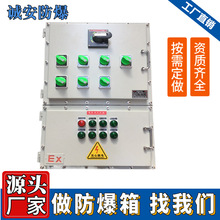 防爆配电箱生产定做厂家 ExdeIIBT4/6照明动力开关控制箱 成套