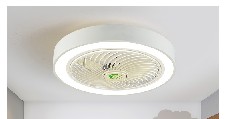 领王吸顶风扇灯吊扇灯带风扇灯具北欧客厅家用餐厅儿童卧室吊灯