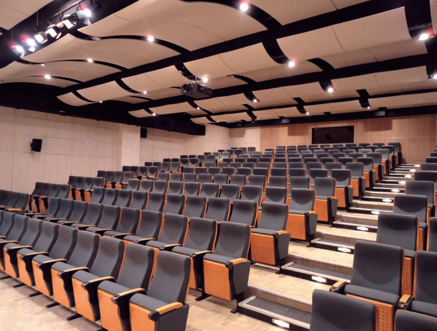 学校音乐厅会议室报告厅电影院影剧院礼堂椅阶梯式座椅椅子排椅