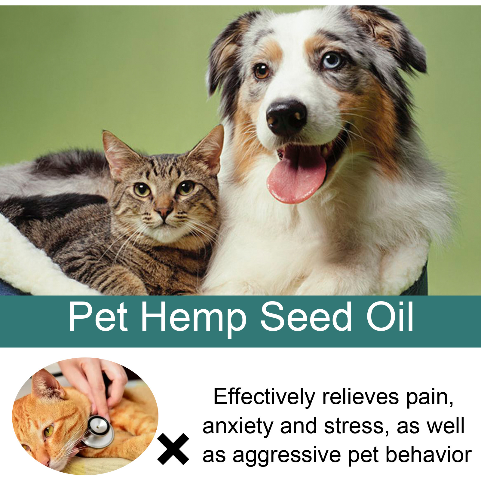 Yegbong Pet Hemp Seed Oil Dogs and Cats Anorexia Essential Oil