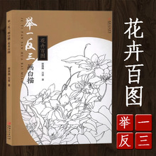 举一反三画白描 花卉百图 工笔画线描国画绘画技法画法画集图谱