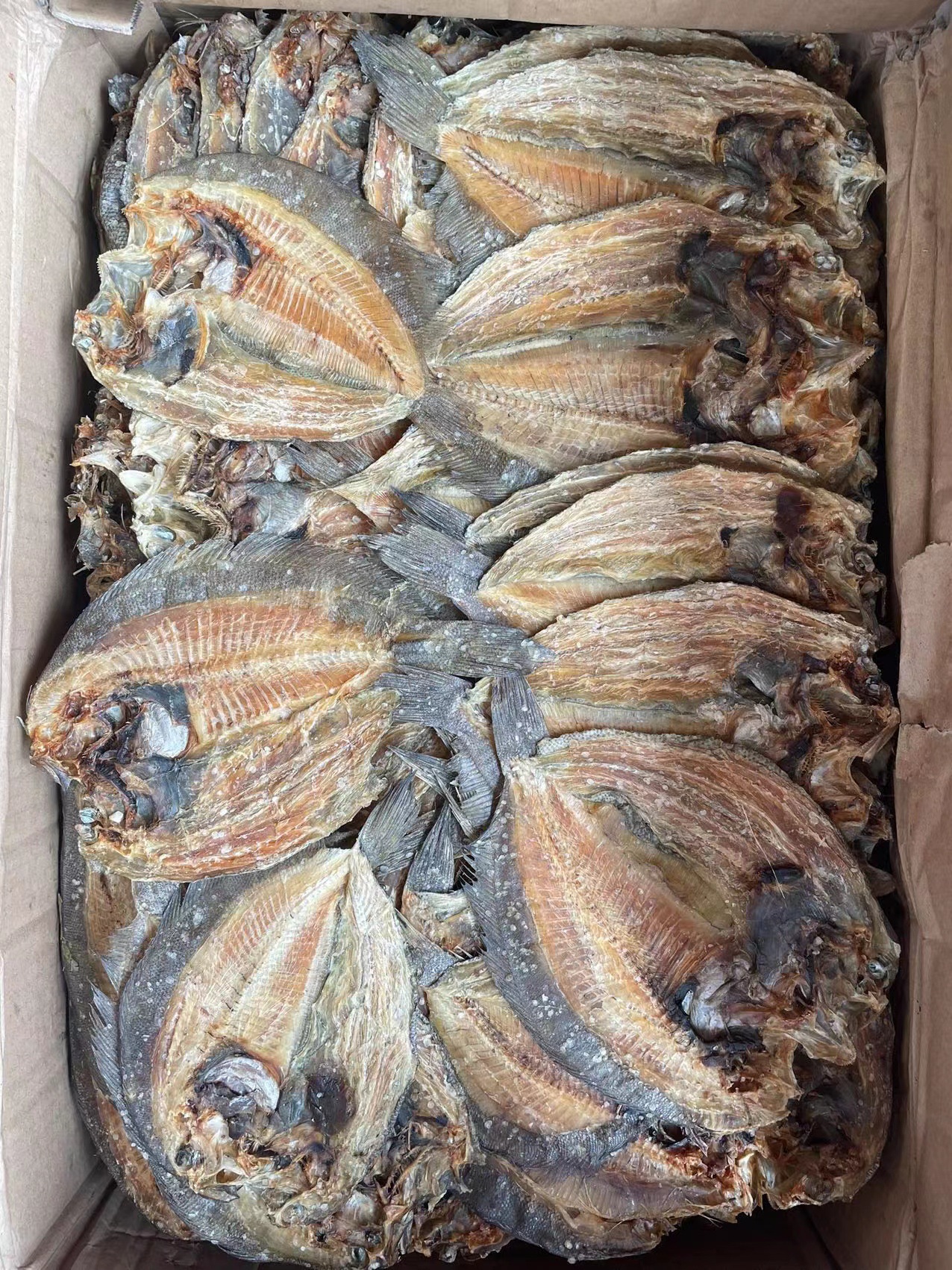 左口鱼大地鱼40斤/件-阿里巴巴