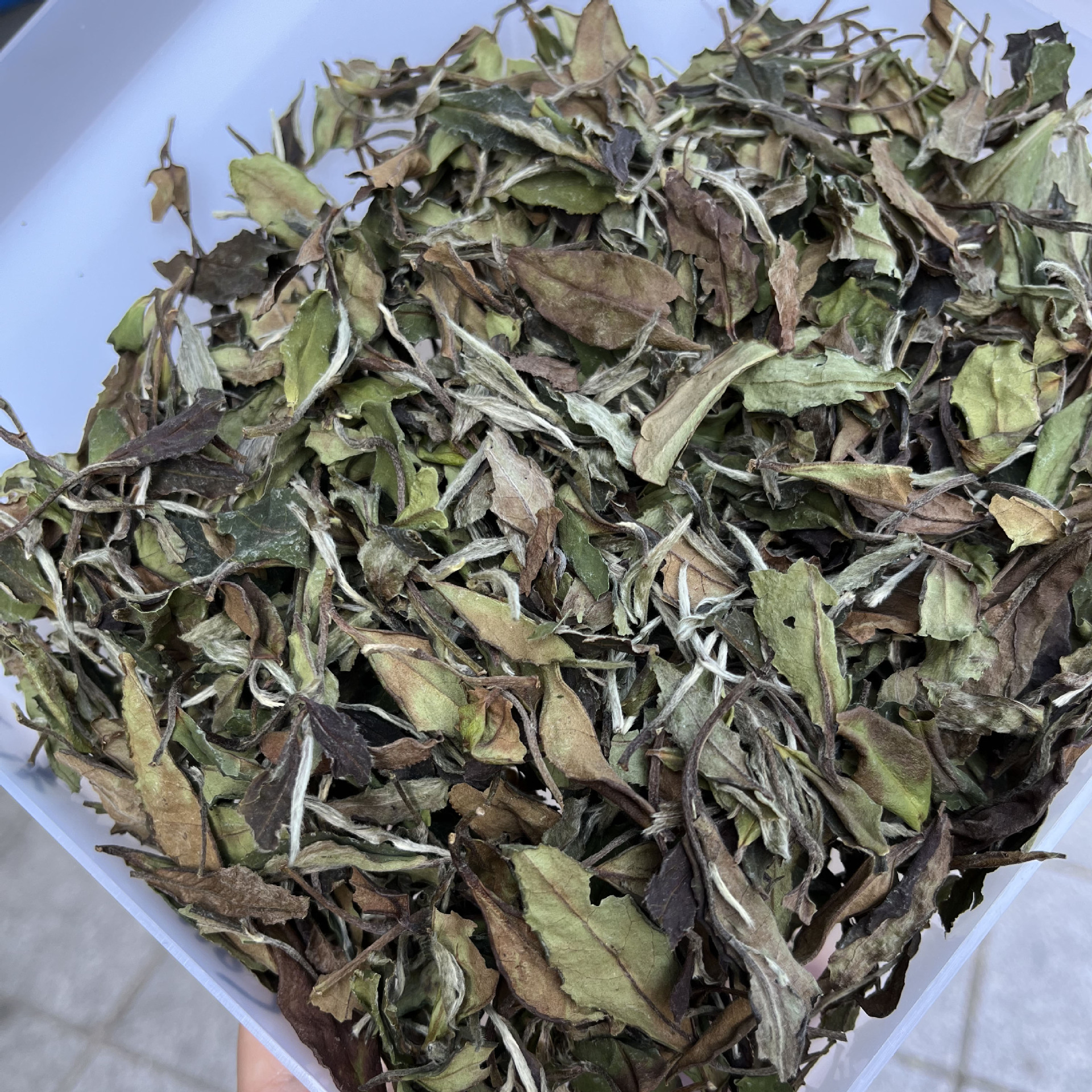 福鼎管阳贡眉白露茶白茶 散茶500g白茶高山秋白露茶水甜香气足