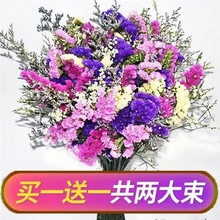 勿忘我干花花束客厅干花装饰家居装饰摆件客厅满天星真花干花束厂