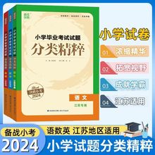 2024版通成小学毕业考试试题分类精粹语文数学英语小升初专项训练