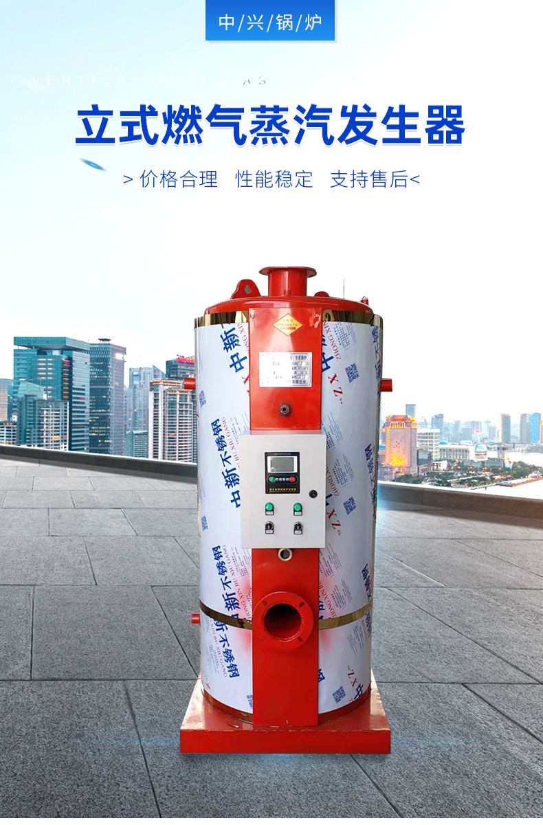 6立式燃气蒸汽发生器_01.jpg