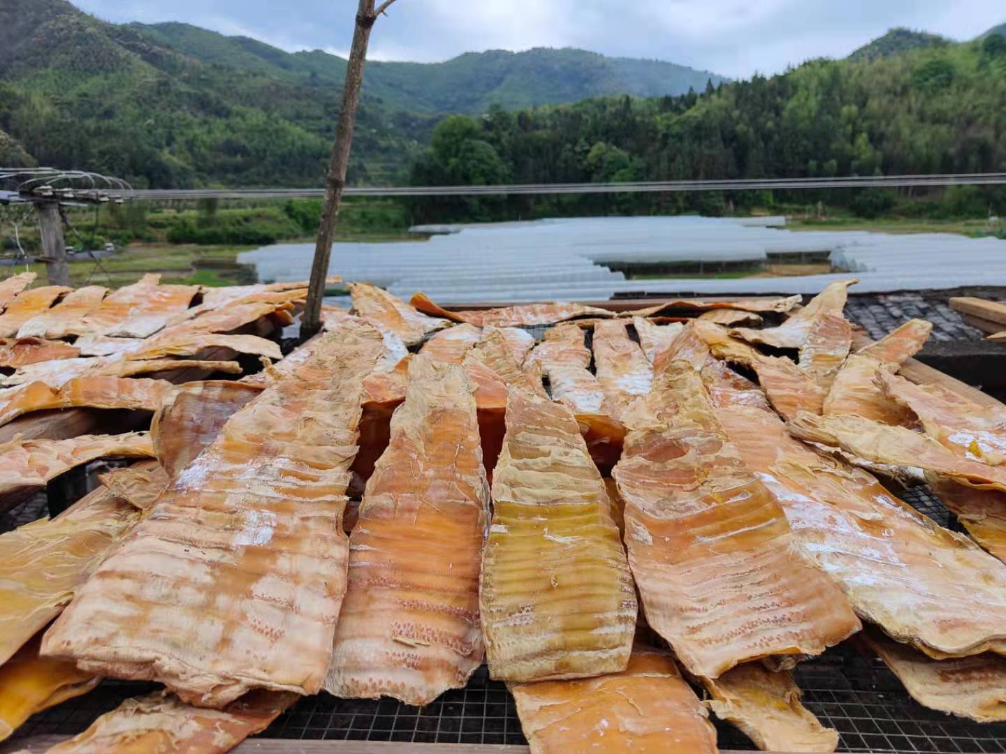 烤笋干压榨笋干农家自制白笋干毛竹笋干无硫磺 一件代发