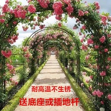 拱门花架铁艺花园蔷薇爬藤架葡萄架丝瓜月季庭院户外花支架速卖通