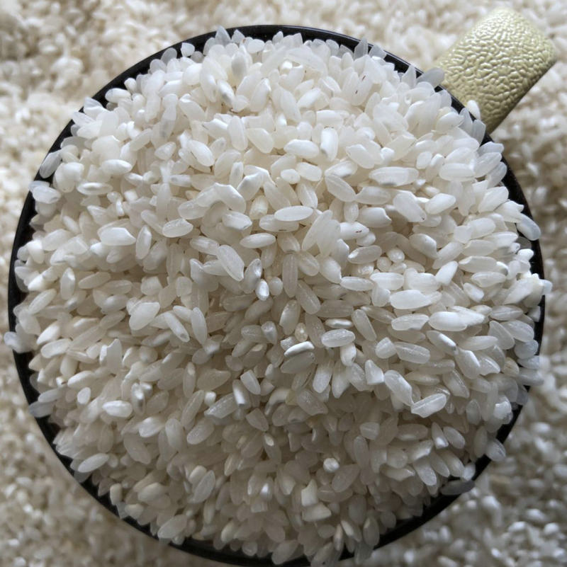 早稻米早籼米肠粉米线新鲜陈糙小吃熬粥豆腐发糕米皮食堂炒饭50斤