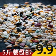 鱼缸底砂造景沙全套底沙装饰摆件沙子天然五彩石缸石头子铺底