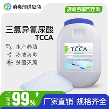 三氯异氰尿酸消毒粉游泳池消毒剂粉末污水处理用杀菌剂TCCA强氯精