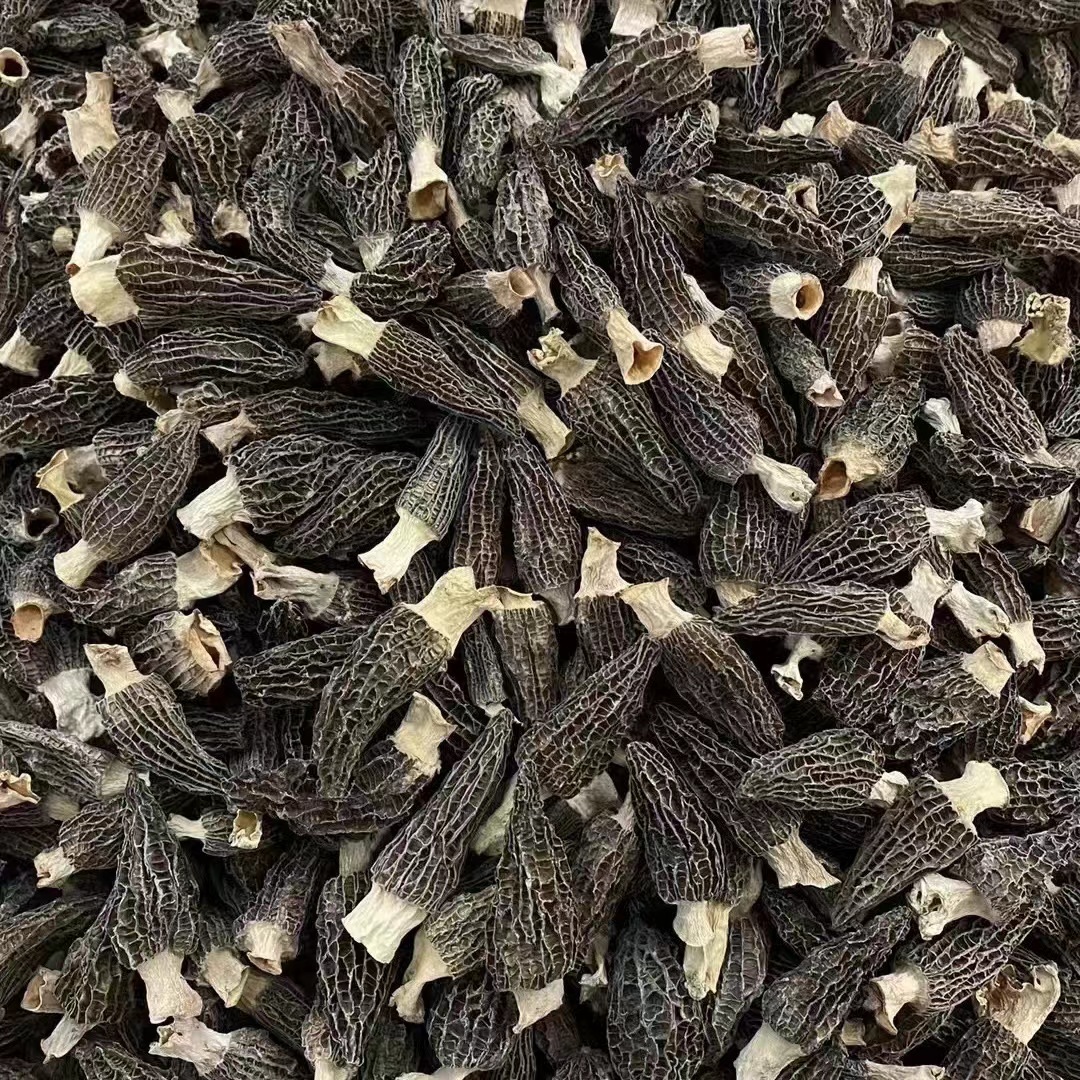 云南半野小个头羊肚菌细纹厚肉干货羊肚菌食用菌滋补品