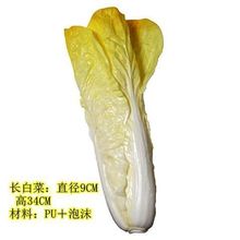 仿真水果蔬菜道具假大白菜娃娃菜仿真厨房橱窗样品房装饰摆设批发