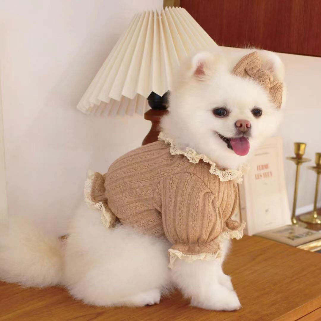 宠物可爱狗狗衣服 韩国花边小狗泰迪马尔济斯衣服秋冬针织毛衣狗