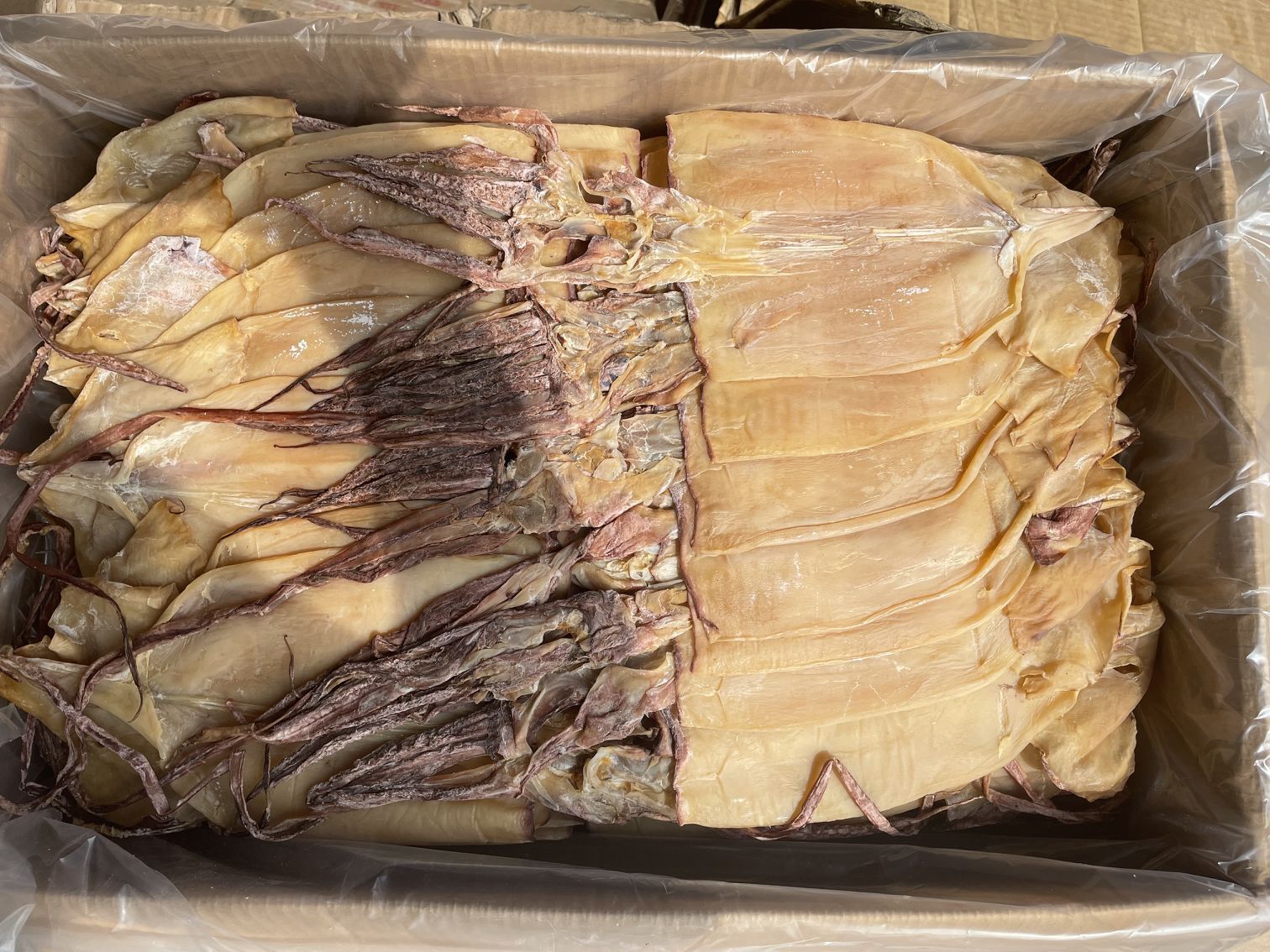 鱿鱼干 阿根廷鱿鱼 鱼干 半咸鱿鱼 海鲜水产干货