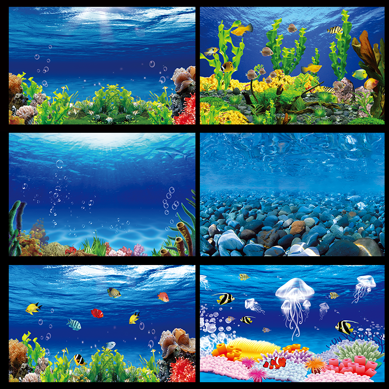 纸画高清图3d立体壁纸风海底世界海洋世界系列