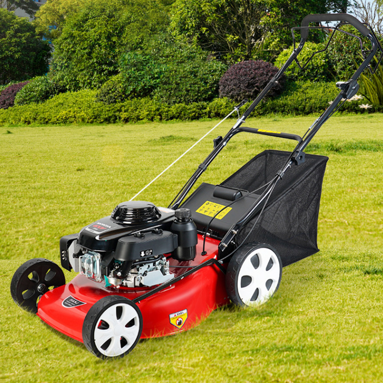 多档调节手推车式割草机 种植草皮修剪机 市政绿化自走式除草车