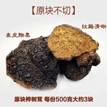桦树茸野生1斤进口桦褐孔菌西伯利亚白桦茸500g包邮包