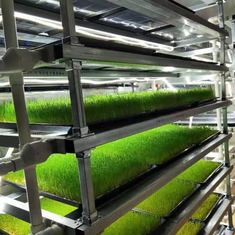 供应立体支架种植 水培蔬菜架 工厂多层种植架 无土栽培设施