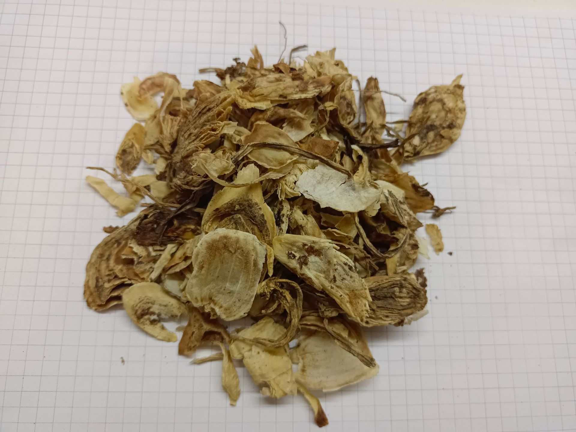 石蒜shisuan产地四川广元7月产新32元每公斤包邮老鸭蒜 独蒜鬼蒜