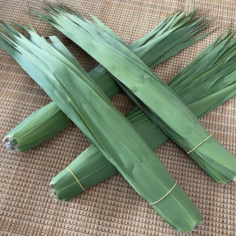 批发当天采摘农家现摘粽叶子新鲜芦苇叶粽子叶包粽子的叶子亚马逊