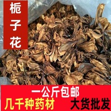 栀子花中药材干 野生栀子花茶 泡茶 无硫栀子花干茶一公斤包邮