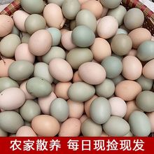 鸡蛋新店冲量农家散养土鸡蛋乌鸡蛋绿壳蛋混合装新鲜整箱批发批发