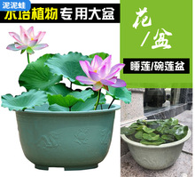 特大号圆形加厚水培无孔荷花盆睡莲碗莲花专用塑料花盆龙缸盆无托