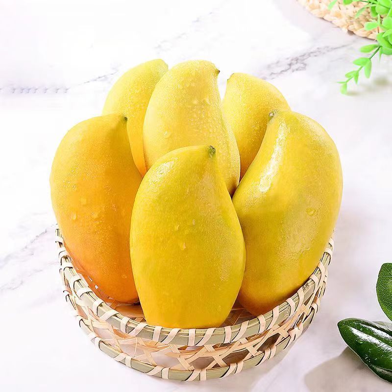 芒果新鲜的芒果云南鹰嘴芒当季水果树上熟10斤装整箱包邮批发