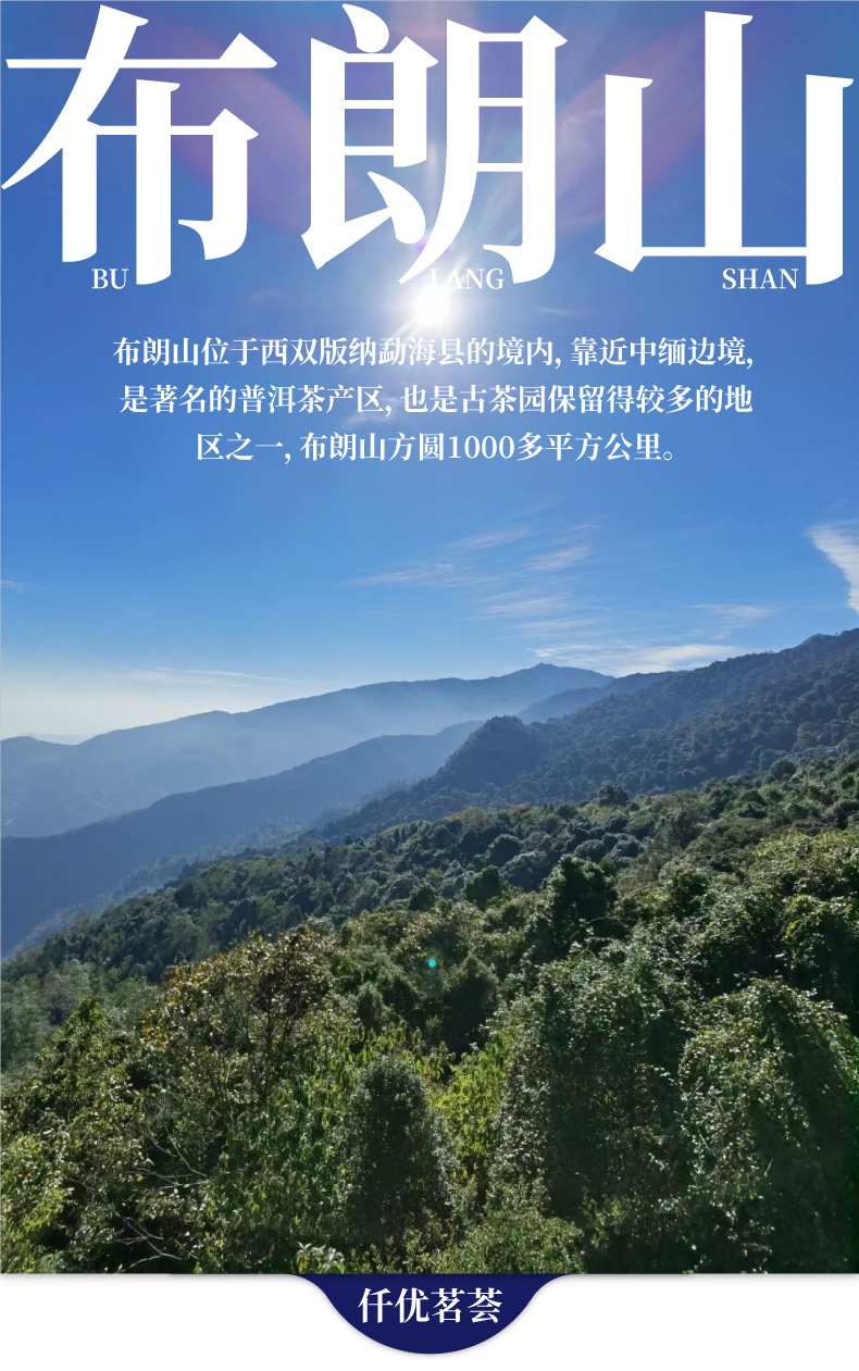 云南布朗山普洱茶古树高杆生普勐海布朗山茶饼茶叶200克匠心珍藏