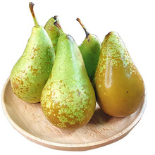比利时进口啤梨 当季孕妇水果农产品荷兰无核青啤梨大果包邮_阿里巴巴