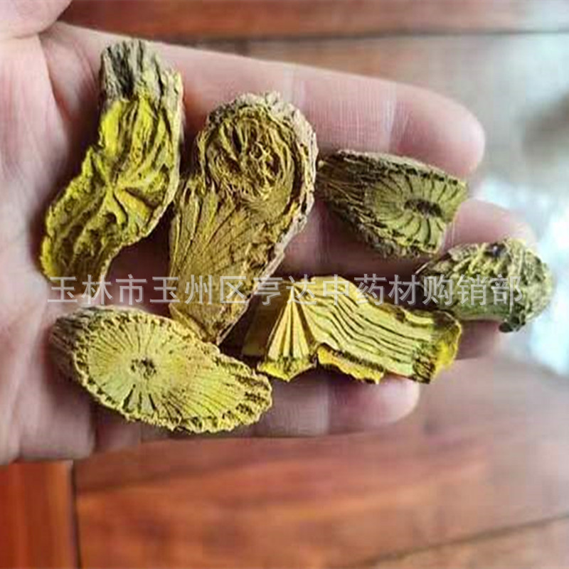 藤黄连 黄藤片 假黄连 大黄藤 古山龙干货